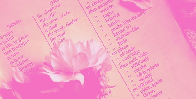 A Flower rests on a page with french definitions of flowers