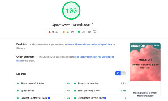 Page Speed Insights Analytics for MunroH